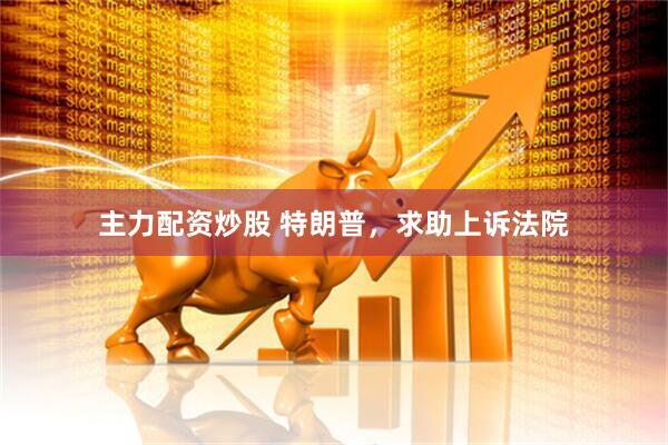 主力配资炒股 特朗普，求助上诉法院