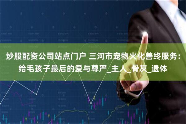 炒股配资公司站点门户 三河市宠物火化善终服务：给毛孩子最后的爱与尊严_主人_骨灰_遗体