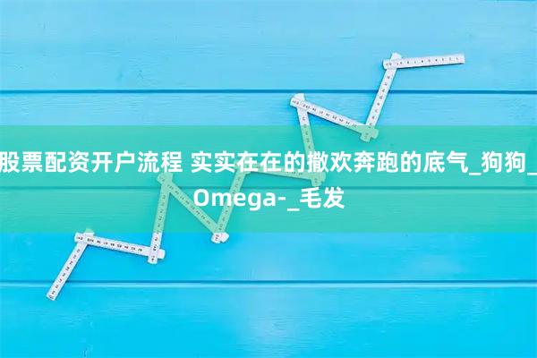 股票配资开户流程 实实在在的撒欢奔跑的底气_狗狗_Omega-_毛发