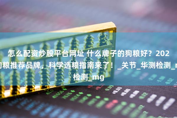 怎么配资炒股平台网址 什么牌子的狗粮好？2025狗粮推荐品牌，科学选粮指南来了！_关节_华测检测_mg