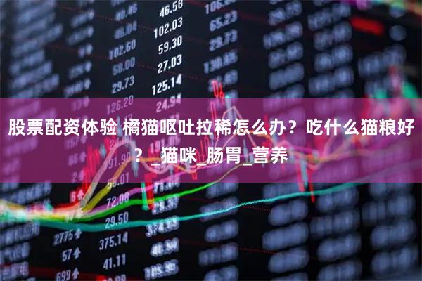 股票配资体验 橘猫呕吐拉稀怎么办？吃什么猫粮好？_猫咪_肠胃_营养