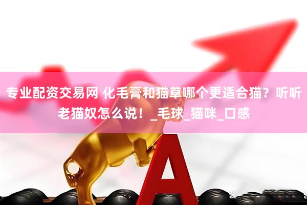 专业配资交易网 化毛膏和猫草哪个更适合猫？听听老猫奴怎么说！_毛球_猫咪_口感
