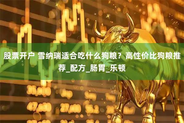 股票开户 雪纳瑞适合吃什么狗粮？高性价比狗粮推荐_配方_肠胃_乐顿