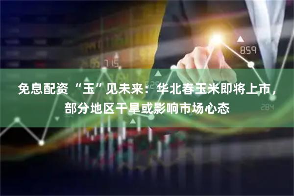 免息配资 “玉”见未来：华北春玉米即将上市，部分地区干旱或影响市场心态
