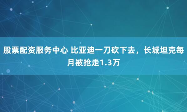 股票配资服务中心 比亚迪一刀砍下去，长城坦克每月被抢走1.3万