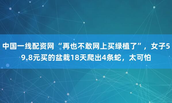 中国一线配资网 “再也不敢网上买绿植了”，女子59.8元买的盆栽18天爬出4条蛇，太可怕